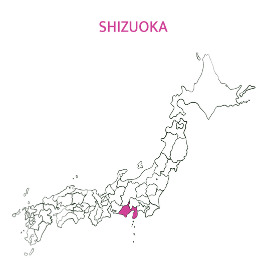 First harvest matcha - Shizuoka, Japan