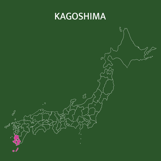 First harvest matcha - Kagoshima, Japan