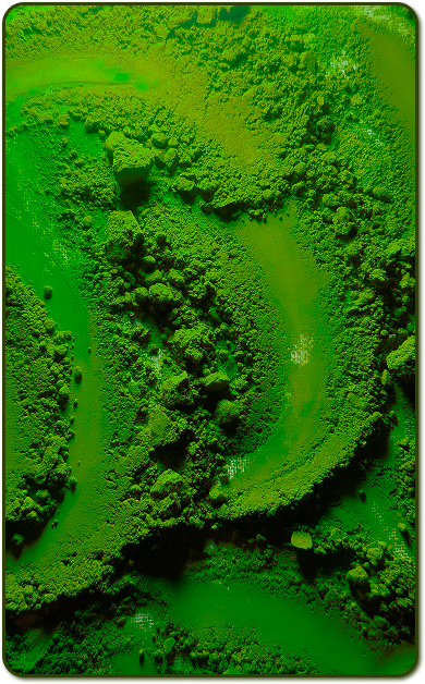 Why Only Ceremonial Matcha?