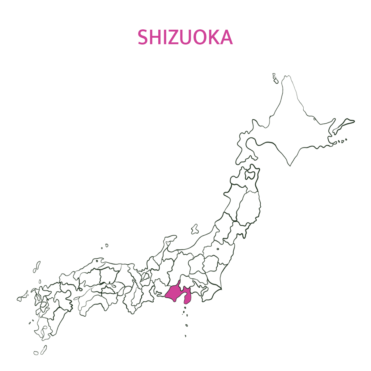 First harvest matcha - Shizuoka, Japan