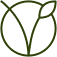 Vegan